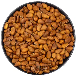 Відбірні кедрові горіхи в шкаралупі з Монголії