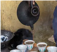 Як заварювати каву «Ефіопія Сідамо»