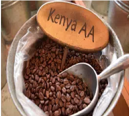 Як заварювати каву «Кенія»