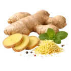 Імбир купити