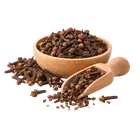 Гвоздика купити