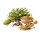 Кондарі купити