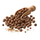 Перець духмяний купити