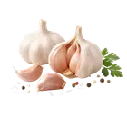 Часник купити