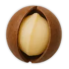 Макадамія купити