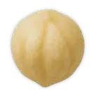 Фундук купити