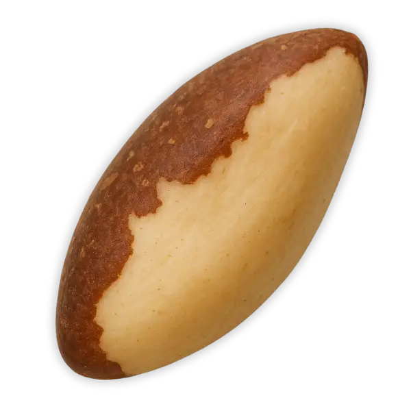 Бразильські