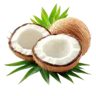 Кокос купити