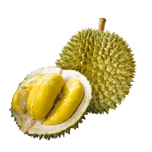 Дуріан