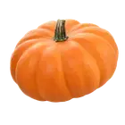 Гарбуз купити