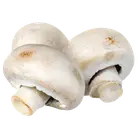 Печериці купити