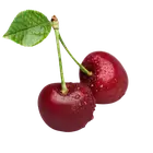 Вишня купити