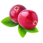 Журавлина купити