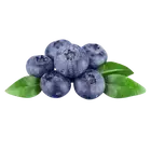 Лохина купити