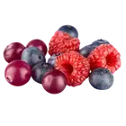 Мікс ягід купити