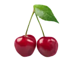 Черешня купити