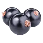 Чорна смородина купити