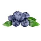 Чорниця купити