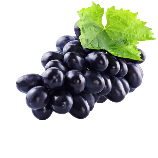 Ізюм (виноград)