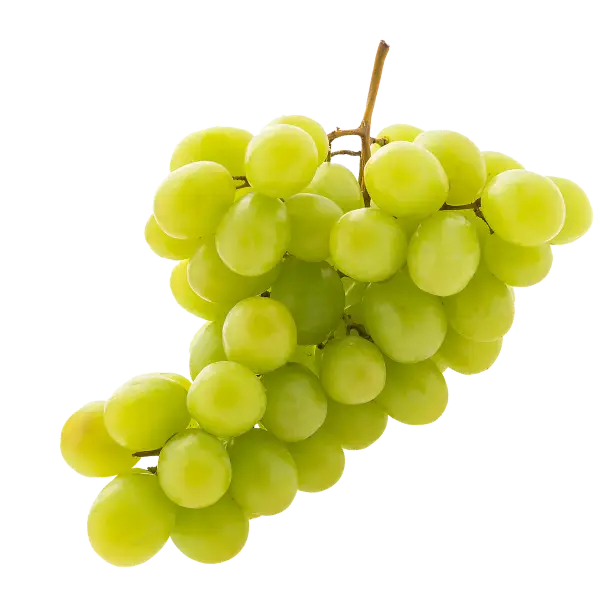 Виноград