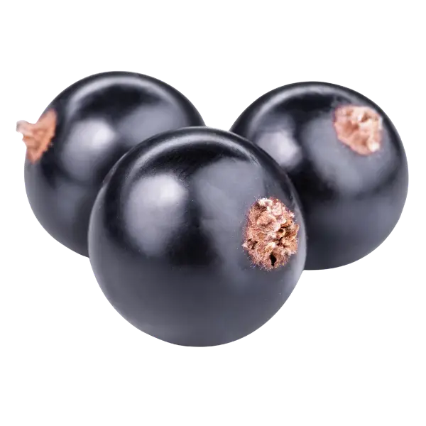 Чорна смородина