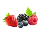 Ягоди купити