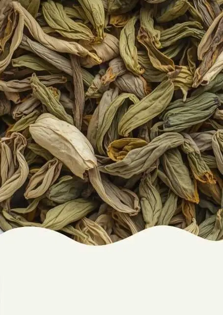 None купити недорого в Україні, фото 30