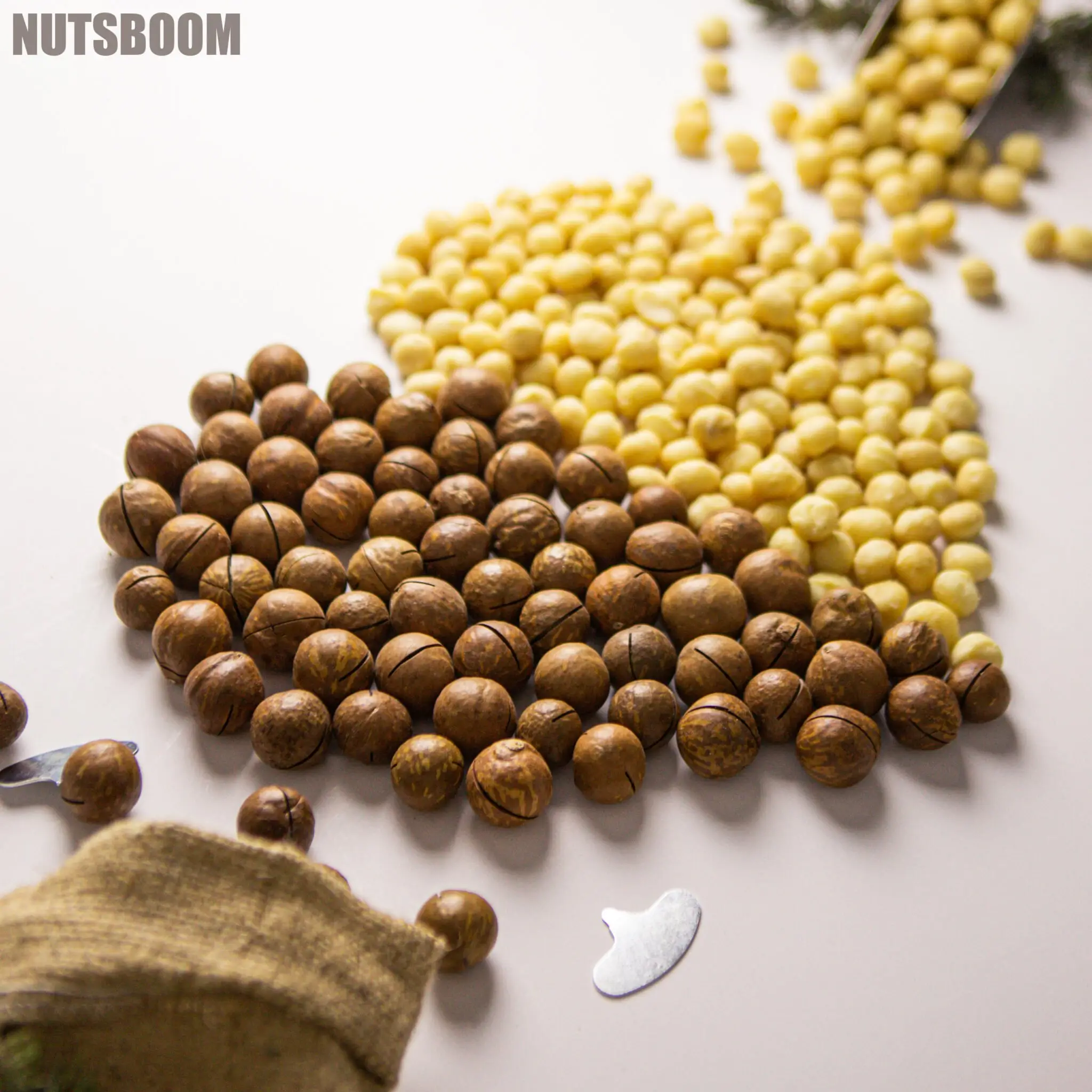 Золоті зернята - найдорожчі горіхи світу купити