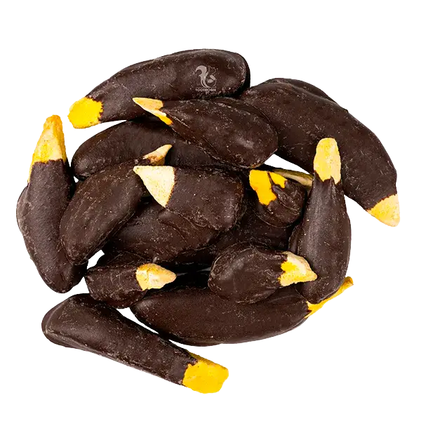 Сублімований манго в шоколаді, 100 г купити