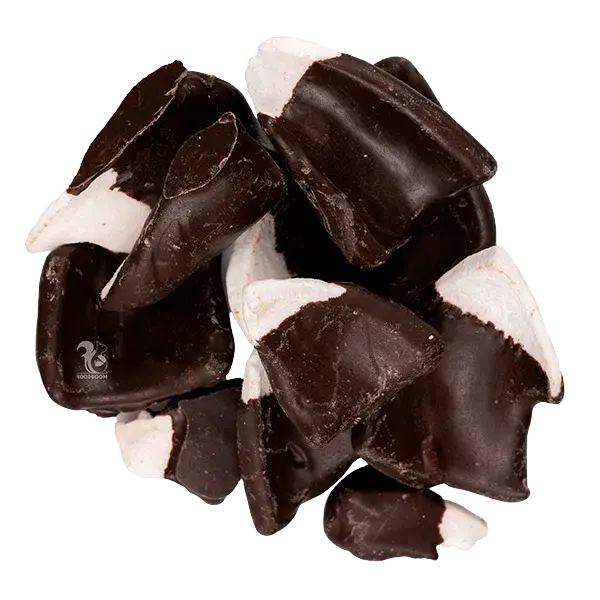 Сублімований кокос в шоколаді, 100 г купити