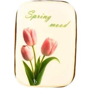 Імбирні пряники Spring mood купити