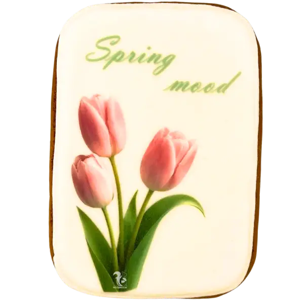 Імбирні пряники Spring mood купити