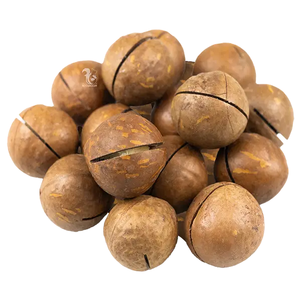 Макадамія в шкаралупі Premium, 1 кг купити