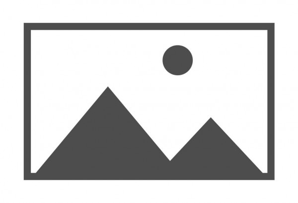 Хрустке доповнення до столу: грінки та сухарики у світі кулінарії купити недорого 22